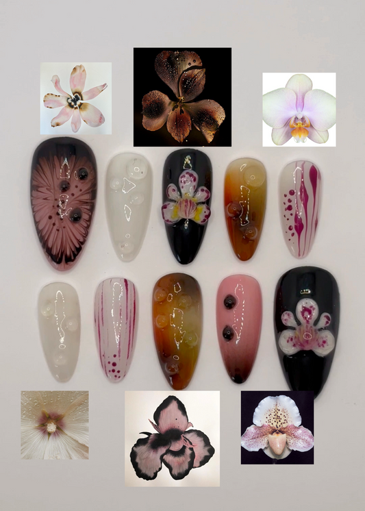 Freestyle 3D flirty floral orchid Press on nails pink and brown nails